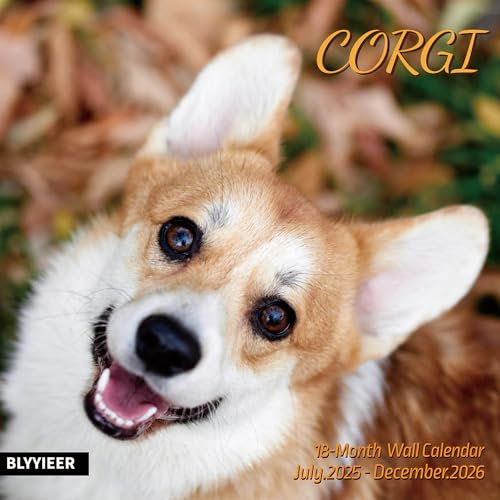 Corgi Wandkalender 2025–2026, 30,5 x 61 cm, offen, Familienplaner, Kalender mit Corgi-Bildern, für Hundeliebhaber
