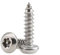 BOZONLI M3.9 Holzschrauben, Blechschrauben, Torx Linsenkopf Selbstschneidende Schrauben, Anti-Diebstahl Schrauben mit Pfostenkern, M3.9×25mm,20 pcs
