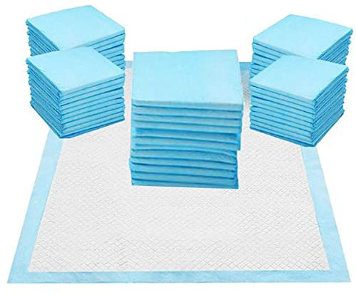 JAMES Heavy Duty Super Absorbent Fast Drying Toilet Pee Puppy Training Pads, Anti-Slip and Leak-Proof Puppy Pads for Pet (100 Pack)
