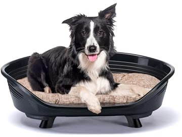 Ferplast Panier Chien avec Coussin en Coton, Lit sureleve Chien, Lit pour Chien en Plastique Moyen, Plastique Recyclé, Corbeille Chien, Respirant Antidérapant, Throne 82 x 59,5 x h 29,5 cm, Noir