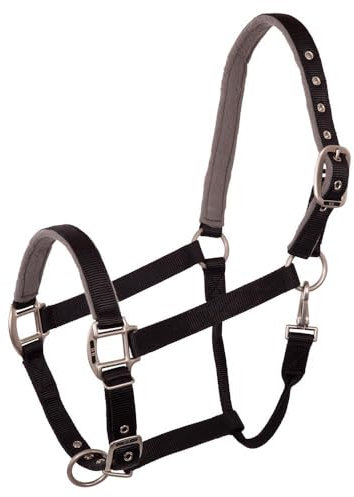 BR Halfter Event Nylon - Size Full
