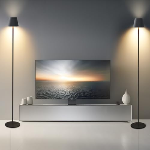 Homefire LED Stehlampe Dimmbar Wohnzimmer Stehleuchte 2ER: Schwarz | Standleuchte Modern USB Akku Steh lampe mit 3 Farbtemperaturen 3000K-6500K für Schlafzimmer Arbeitszimmer und Büro