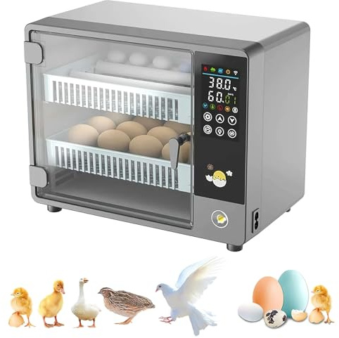 Automatische Brutmaschine, automatischer Inkubator für 24 Eier, automatisches Wenden der Eier und automatische Befeuchtung, Temperaturregelung mit Touchscreen (Einzelversorgung)