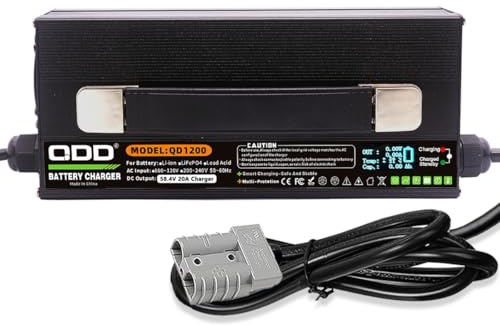 Caricabatterie LiFePO4 da 58,4 V 20 A 48 V (51,2 V) 20 A Ricaricabile per batteria al litio ferro fosfato