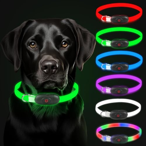 AUAUY LED Leuchthalsband Hund mit D-Ring, Wasserdicht 5 Farben 3 Leuchtmodi | Haustier Sicherheit Kragen, USB Aufladbar, Längenverstellbarer, Zuschneidbares Leuchthalsband, für Kleine Mittel Große Hund