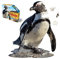 Shape Puzzle Junior Pinguin, Konturpuzzle 100 Teile, für Kinder und Erwachsene
