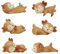B Blesiya Set REH Figuren Tierfiguren Dekofiguren Kinderzimmer Dekoration