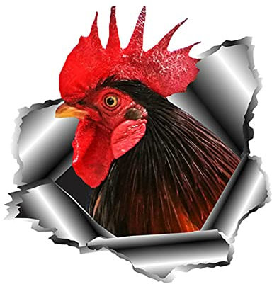20x20cm Creative Tearing Bullet Hole Fun Cock Car Sticker Pvc Fashion Body Window Exquisite Waterproof Decal Decoration(2 Stück)