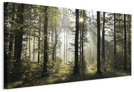 murando - Leinwandbild Natur Wald Landschaft, 140x70 cm, 1-teilig, modern | Hochwertige Leinwand, sofort aufhängbar, ideal fürs Wohn- oder Schlafzimmer, wasserfest und lichtecht, langlebig, stilvoll