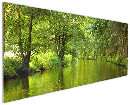 Wallario Küchen-Rückwand | Küchenspiegel Spreewald in Brandenburg grüne Wälder und Spiegelungen im Wasser in Premium-Qualität: Brillante Farben | abwischbar | pflegeleicht