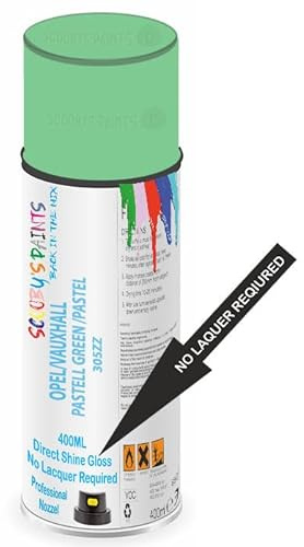 SCOOBYS PAINTS BACK IN THE MIX Direct Gloss Aerosol Spray Paint For Opel/Vauxhall Pastell Green/Pastel Green Code: 305Zz No Lacquer Required