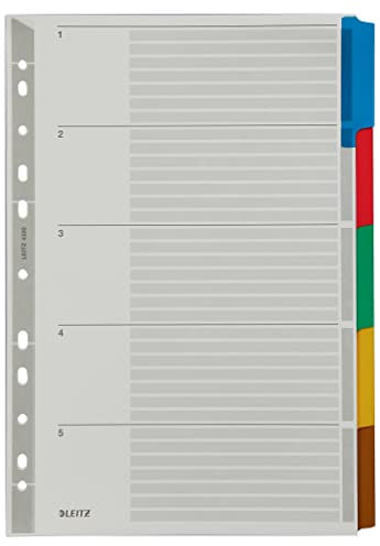 Leitz Register für A4, Deckblatt und 5 Trennblätter, Lochrand und bunte Taben folienverstärkt (Mylar), Grau, Karton, 43200000