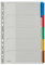 Leitz Register für A4, Deckblatt und 5 Trennblätter, Lochrand und bunte Taben folienverstärkt (Mylar), Grau, Karton, 43200000