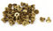 sourcing map 50pcs Vis Tête Fraisée Cruciforme Tête Plate Boulon M3 x 5 mm laiton Gb819