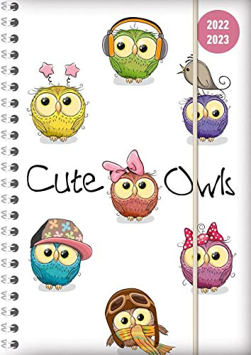 Collegetimer Cute Owls 2022/2023 - Schüler-Kalender A5 (15x21 cm) - Eule - Ringbindung - Weekly - 224 Seiten - Terminplaner - Alpha Edition (Collegetimer A5 Ringbuch)