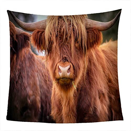 MYPALL 3D Muster Dicke Decke Tierisches Braunes Yak 180 x 200cm Flanelldecke Sofadecke Kuscheldecke Mikrofaser Warm, Gemütlich,Super Weiche für Mädchen, Jungen, Erwachsene, Bett, Sofa