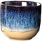 Ioensy Ceramic Cups,Espresso Cup, 150ml Sake Cup Japanese Style Handcrafted Kung Fu Tea Cup Handless for Cappuccino Coffee Milk Juice, Dark Blue