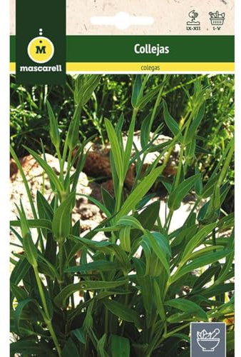 Mascarell Semillas, COLLEJAS, Semillas de Hierbas Aromáticas para Plantar, Crea tu Propio Huerto en Casa, 1 Gramos