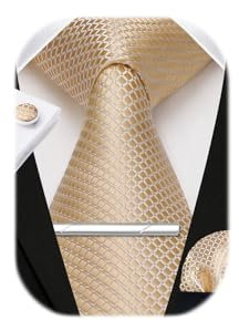 HISDERN Herren Krawatte Champagner Hochzeit Seidenkrawatte und Einstecktuch Manschettenknöpfe Krawattenklammer Set Formal Business