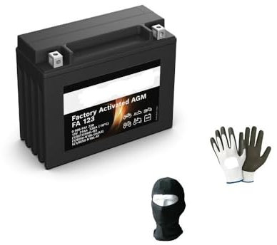 Compatible avec Harley Davidson FLTC Tour Glide Classic 1340 ANNÉE 1980 al 1992 Batterie YTX24HL-BS FA1230 Y50-N18L-A/A3 FOURNIE Chargeur Batterie 21 AMPÈRE 12 Volts CCA 330A 205X87X162MM