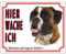 Warntafel Boxer gelb 12 x 3,5 cm