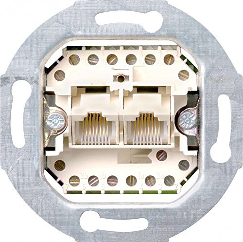 Gira 019000 Steckdose UAE TAE 8 8, 2-Fach Einsatz