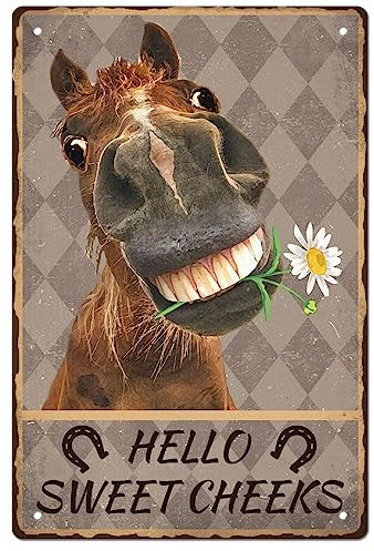GLOBLELAND Vintage-Metall-Pferd-Blechschild Lustiges Retro-Metallwanddekor „Hello Sweet Cheeks“ Dekoratives Blechschild Kunstplakette Poster 8,12 x (5),(1) cm Für Zuhause Küche Bar Café Club