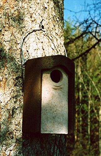 Schwegler Staren Nistkasten, Holzbeton, Grau, Schwalbe, Hängend, 4.5 cm, Vogelhaus