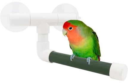 Hypeety Portable Suction Cup Bird Window and Shower Perch Toy Parrot Stand | 2 strong suction cups, parrot bath perch, easy to install, fits windows/shower tile, for budgies/parakeets/lovebirds, green