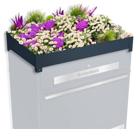 Metzler Pflanzdach für Paketbox | Dachbegrünung für Paketbriefkasten | für Modellreihe Bispo (Anthrazit RAL7016)