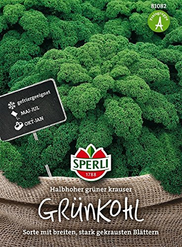 Grünkohl, Halbhoher grüner krauser