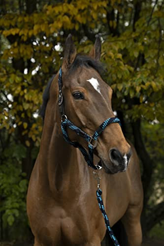 NORTON „Tressé“ Halfter und Führstrick, Pony, fuchsia/hellblau/marineblau