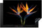 KitchenYeah© Herdabdeckplatte Einteilig Induktionsmatte Küche Abdeckung Ceranfeld Herd Abdeckplatte Deko Vinyl Matte Aufrollbar Pflanzen - Blau - Blumen - Paradiesvogelblume - Schwarz - 80x52 cm