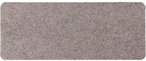 ANRO Schuhparkplatz Fußmatte rutschfest Fußabtreter Schmutzfangmatte Indoor Sauberlaufmatte schmal Abtropfmatte für Eingang Uni Beige 30 x 60 cm