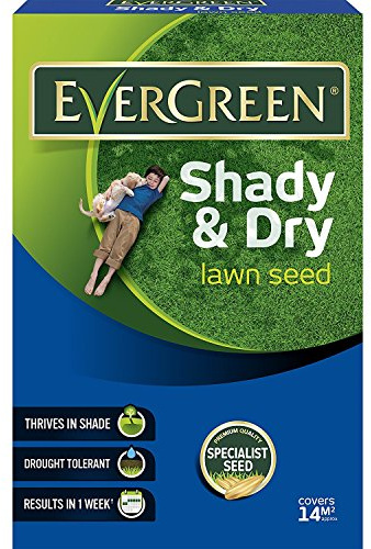 EverGreen Shady Lawn Grass Seed - 420g