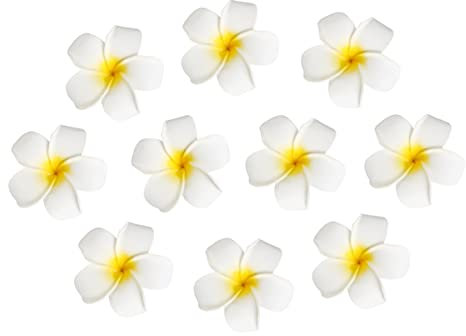 Hawaiian Haar Blumen Strand Hochzeit Haarspange, 10er Pack