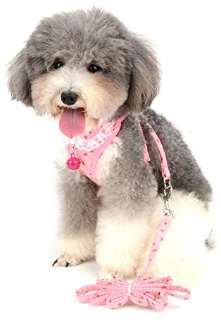 Ranphy brustgeschirr für Hunde Hundegeschirr und Leine Set No-Pull Atmungsaktive Laufgeschirre Haustier Weste und Hundeleine Anti Zug Mesh Kitten Chihuahua Brustgurt Geschirr für Walking Rosa L