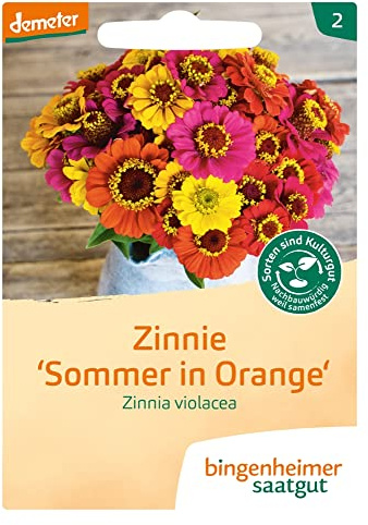Bingenheimer Saatgut Zinnie Sommer in Orange Zinnia violacea demeter bio für ca. 50 Pflanzen