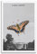 to Pimp A Butterfly Poster Wall Art Canvas Gift for Friend Bed Room Living Room Decor Modern Aesthetic08x12inch(20x30cm) Unframe-Style-9