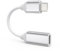 TechMatte Lightning to USB C Cable Adapter, 4 inch PD Fast Charging Compatible with15/Plus/Pro/Pro Max and More Type C Devices, 1 Pack, Silver