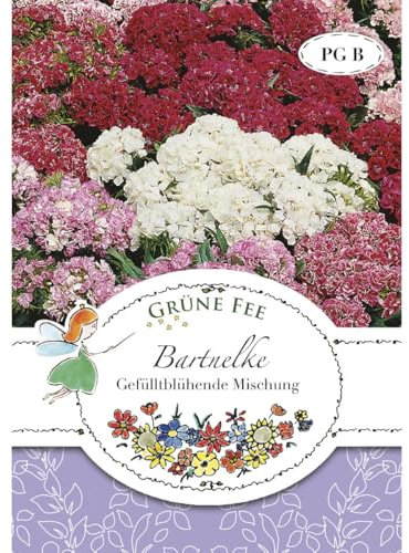 Grüne Fee - Bartnelke Gefülltblühende Mischung Samen - 13475