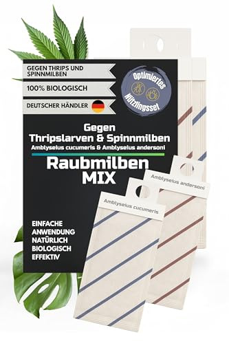 Raubmilben gegen Thrips, Spinnmilben, Weiße Fliege und weitere Schädlinge (8, Mix gegen Thrips/Spinnmilbe)