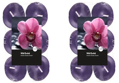 Teelichter Duft 2x12 Stück (24 Teelichter) - Brenndauer: 4,5 Std., Rußfrei - für Windlicht, Teelicht-Glas, Kerzenständer - Weihnachten, Geschenk, Deko, Gastro (Lila - Duft: Wilde Orchidee)