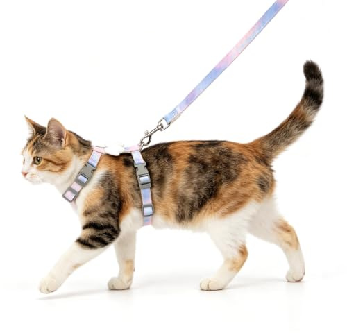 Nobleza Katzengeschirr und Leine Set， Verstellbares Brustgeschirr mit Plüsch-Engelsflügeln， Schnellverschluss-Schnalle und Metall-Clip， Komfortables Geschirr-Set für Katzen und Welpen