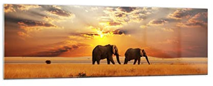 Panorama Bilder auf Glas 160x50cm Glasbild Elefanten Safari Dschungel Busch Groß XXL Wanddeko Bild im Glas Schlafzimmer Küche Wandbilder Dekoration Wohnzimmer Modern Wand Kunstdruck Art GAB160x50-3150