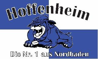 FRIP -Versand Bulldogge Flagge 90 x 150 cm: Hoffenheim die Nr.1 aus Nordbaden für Sportveranstaltungen, Blau