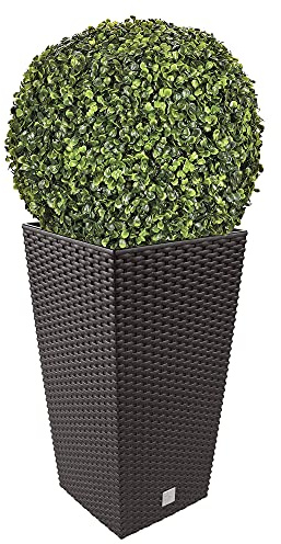 WELL HOME MOBILIARIO & DECORACIÓN Blumentopf-Set + Buchsbaum-Pflanze dunkel