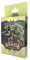 Wyrmgold WYMX1022 - Pagan: Schicksal von Roanoke – Gedankenspiele [3. Ergänzungspack]