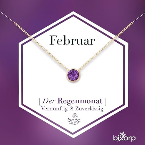 Bixorp Geburtsstein Halskette mit Zirkonia-Anhänger Februar - Edelstahlkette mit rundem Zirkonia-Kristall - Februar/Amethyst - Gold