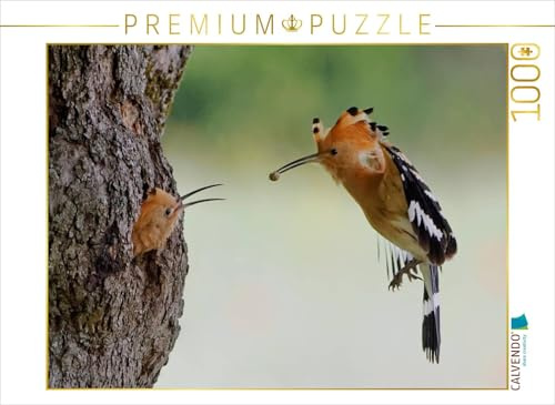 CALVENDO Puzzle EIN Motiv aus dem Kalender Wiedehopf | 1000 Teile Lege-Größe 64 x 48 cm Foto-Puzzle für glückliche Stunden